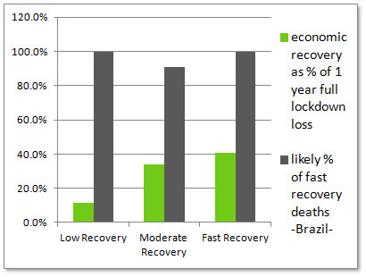 economic vs pandemic costs